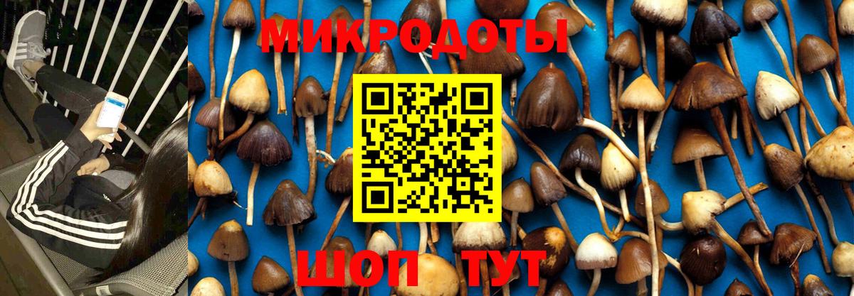 Галлюциногенные грибы мухоморы Кинель